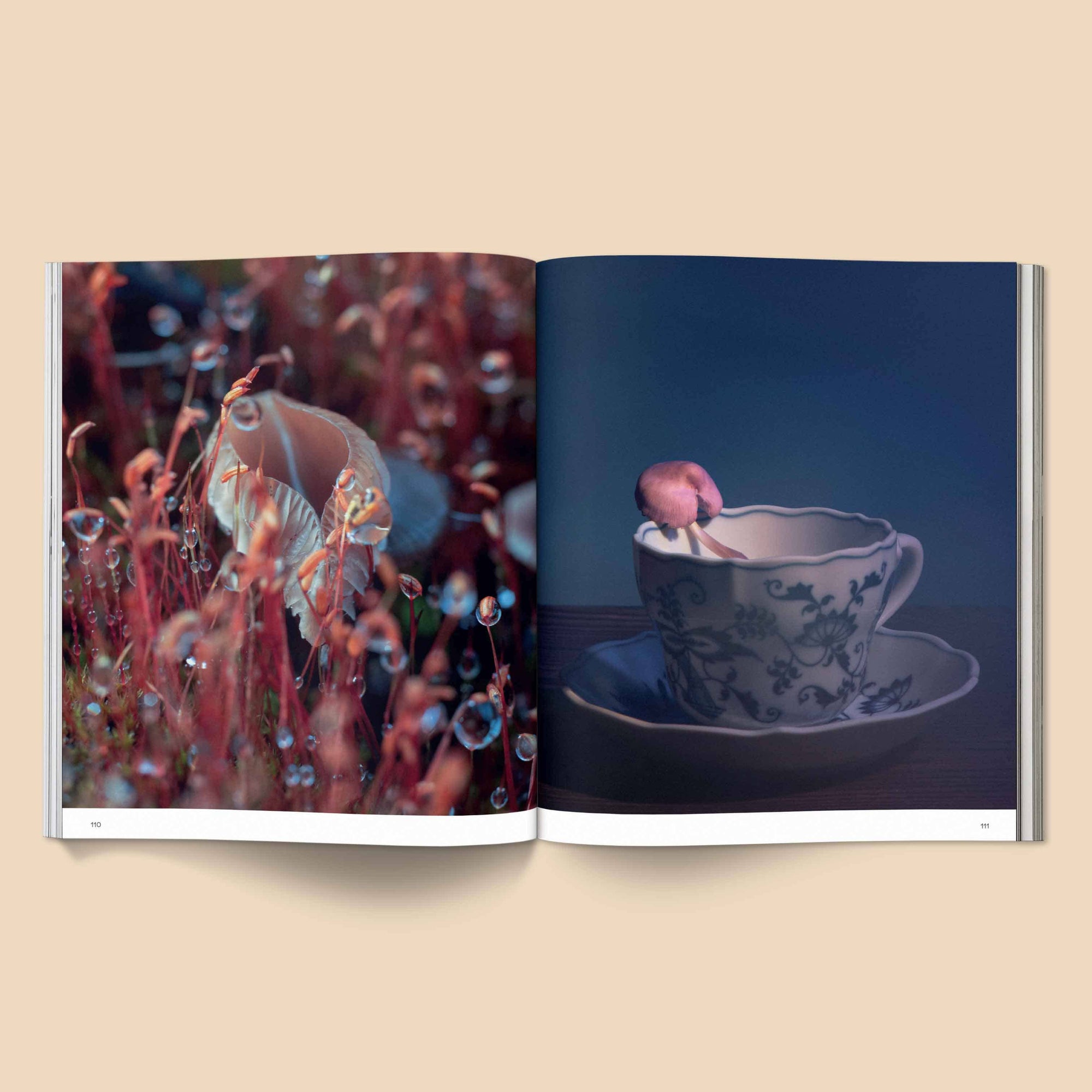 Spores: Magical Mushroom Photography Book - Space Camp