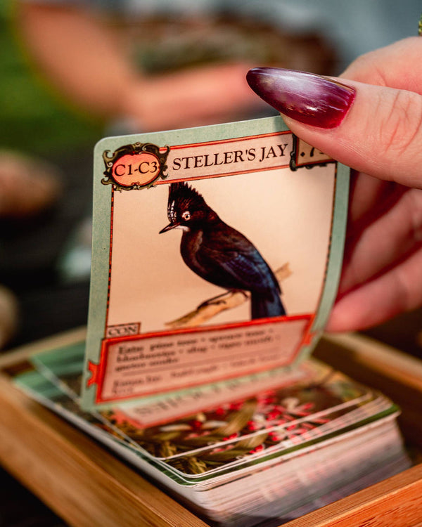 Ecologies Card Game