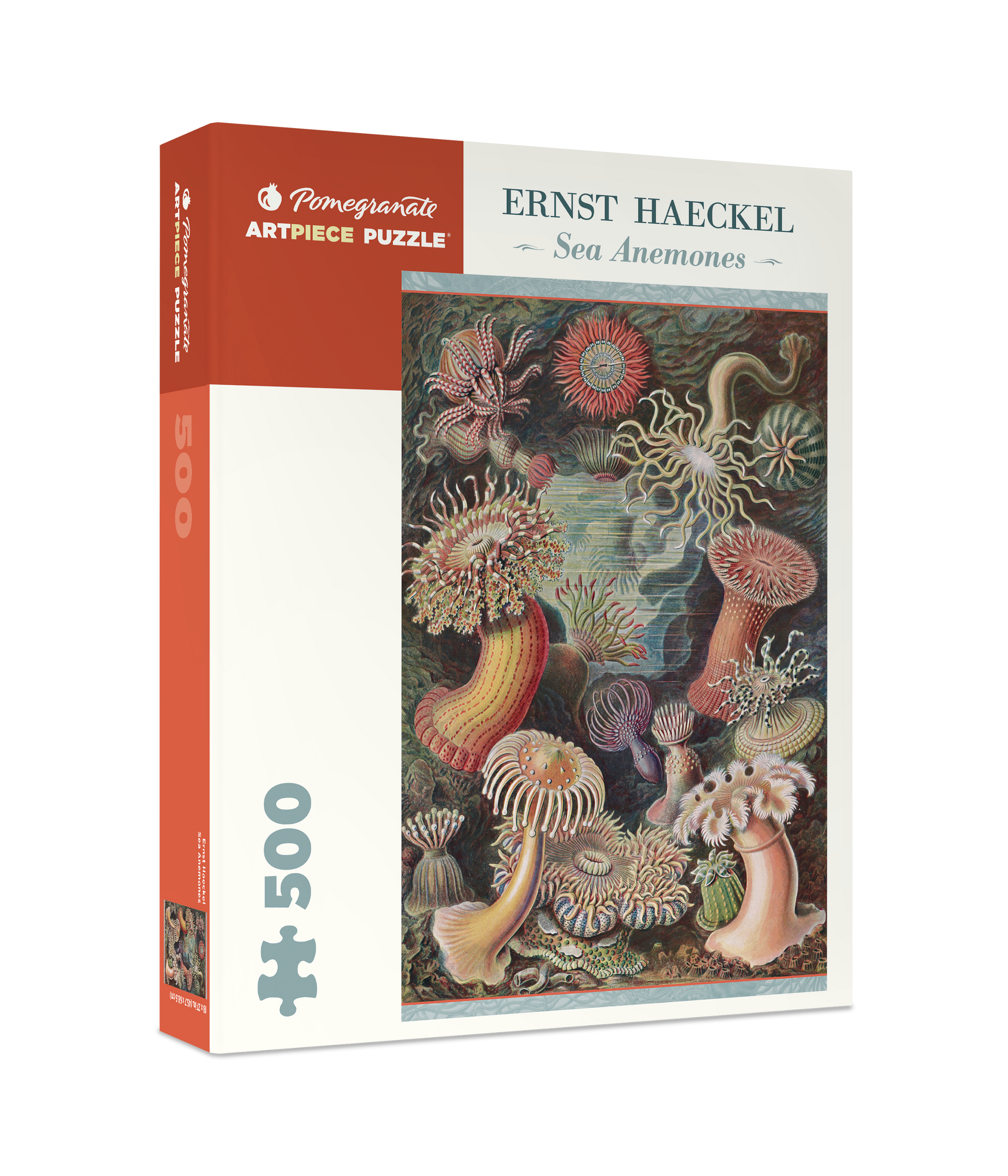 Ernst Haeckel: Sea Anemones 500-Piece Jigsaw Puzzle