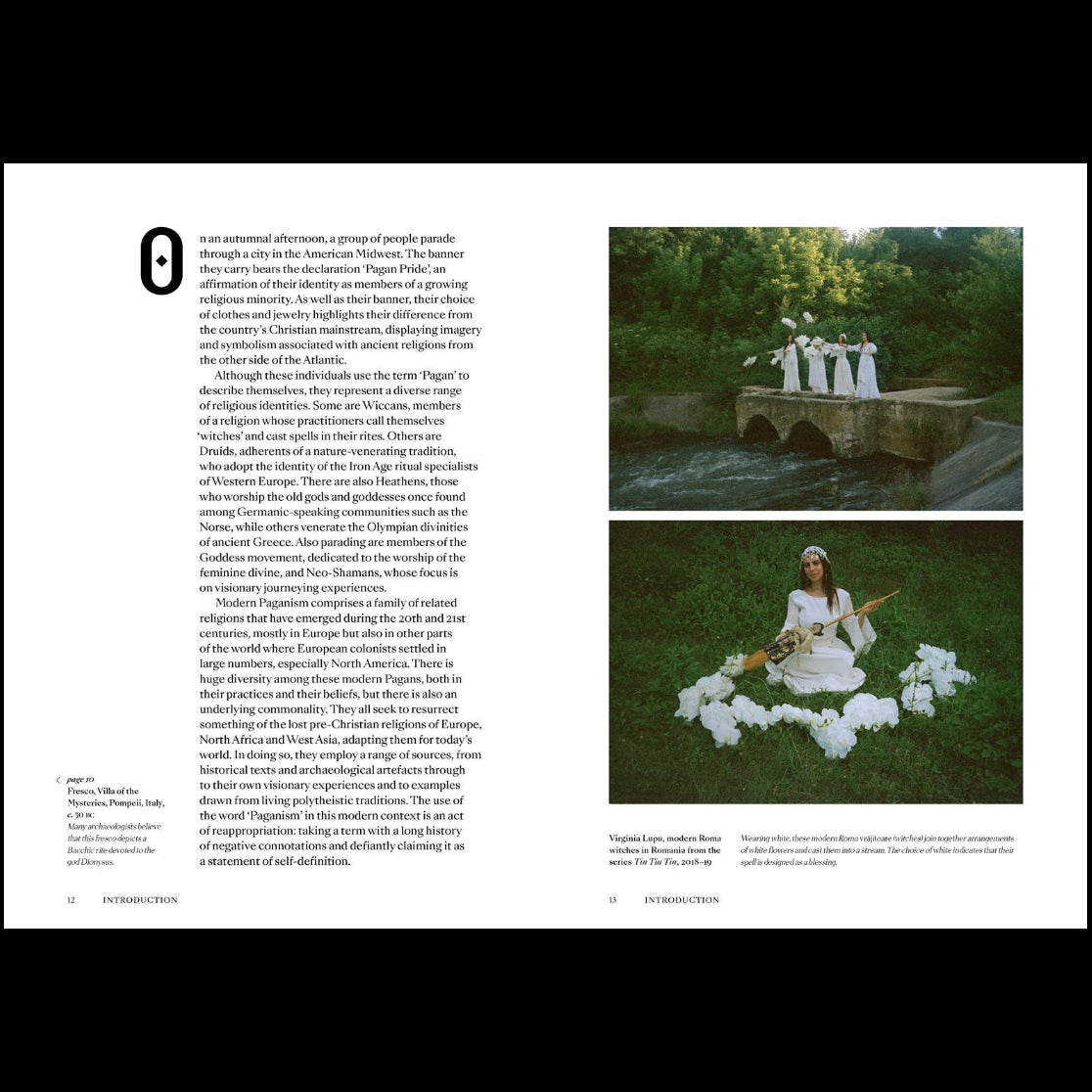 Pagans: The Visual Culture of Pagan Myths, Legends and Rituals by Ethan Doyle White