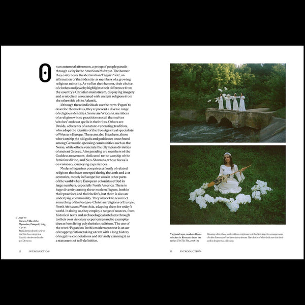 Pagans: The Visual Culture of Pagan Myths, Legends and Rituals by Ethan Doyle White