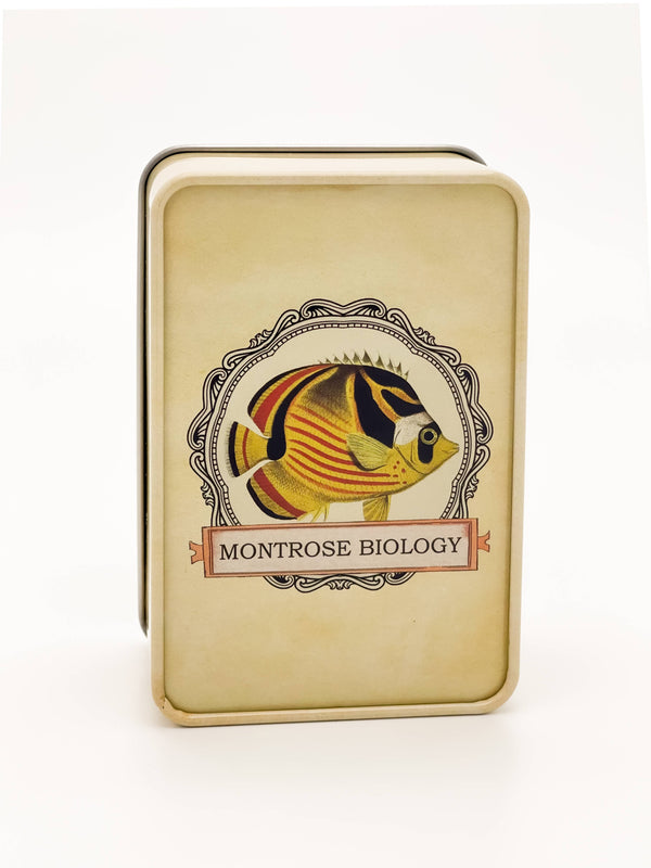 Ecologies Card Game Metal Tin - Archerfish Image