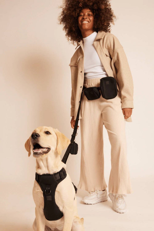 maxbone - GO! With Ease Hands-Free Leash for Dogs: Black