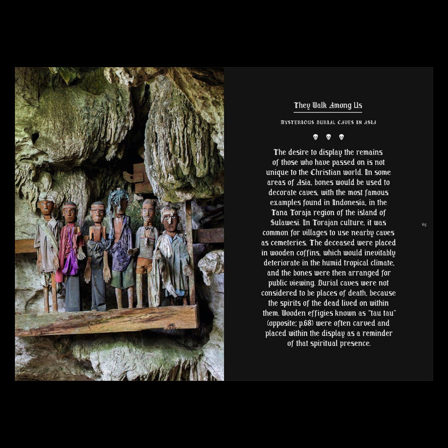 Memento Mori: The Dead Among Us by Paul Koudounaris