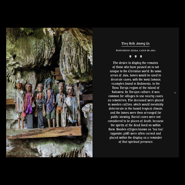 Memento Mori: The Dead Among Us by Paul Koudounaris