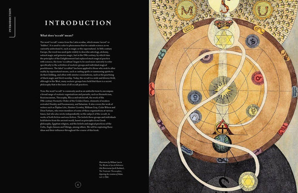Compendium of the Occult: Arcane Artifacts, Magic Rituals, and Sacred Symbolism by Liz Williams