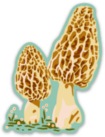 Long Lost Studio - Morel Mushroom Sticker