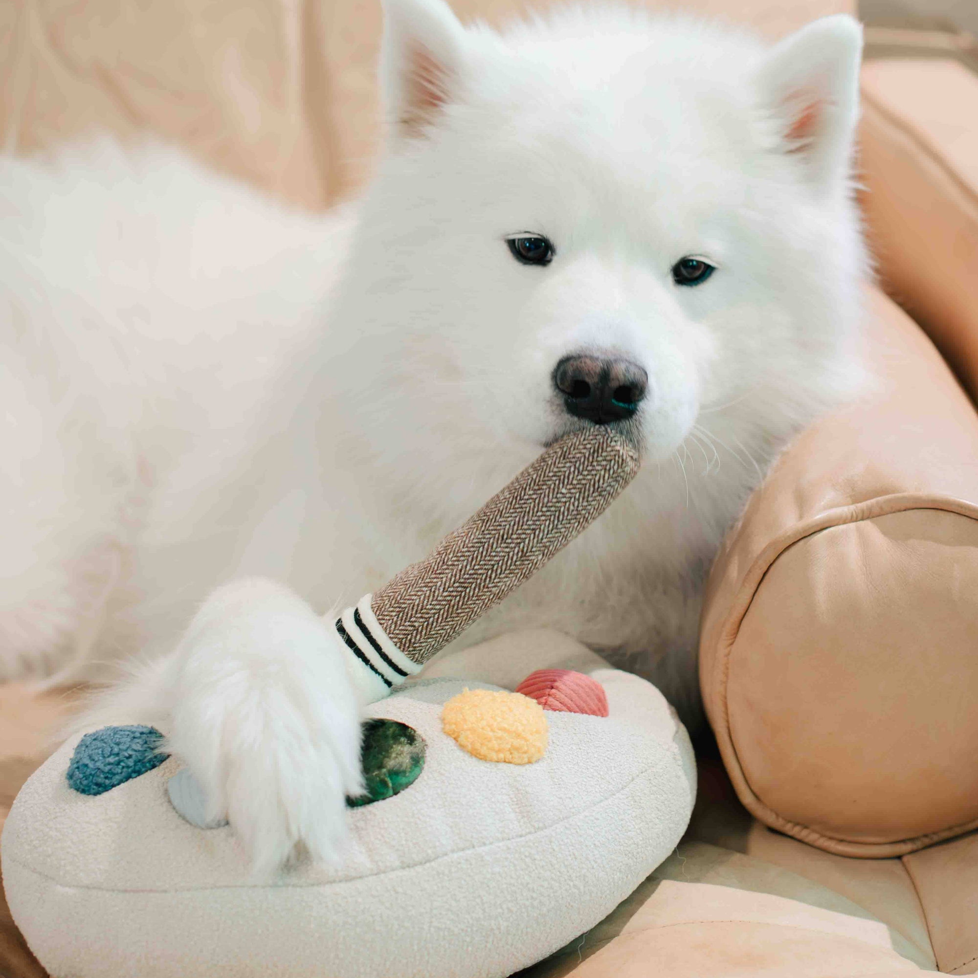 Lambwolf Collective - Color Palette Set - Enrichment Dog Toy - Cuddle + Squeaky