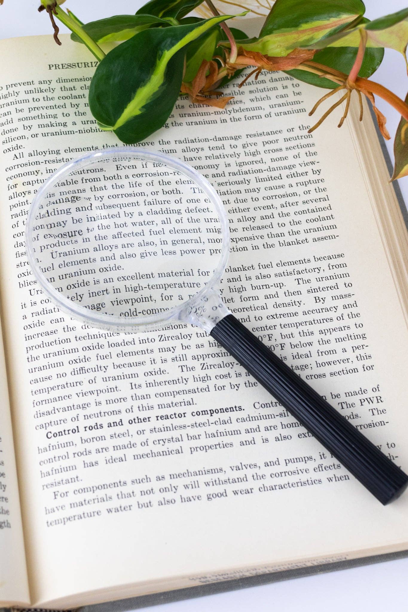 Plastic Magnifying Lens