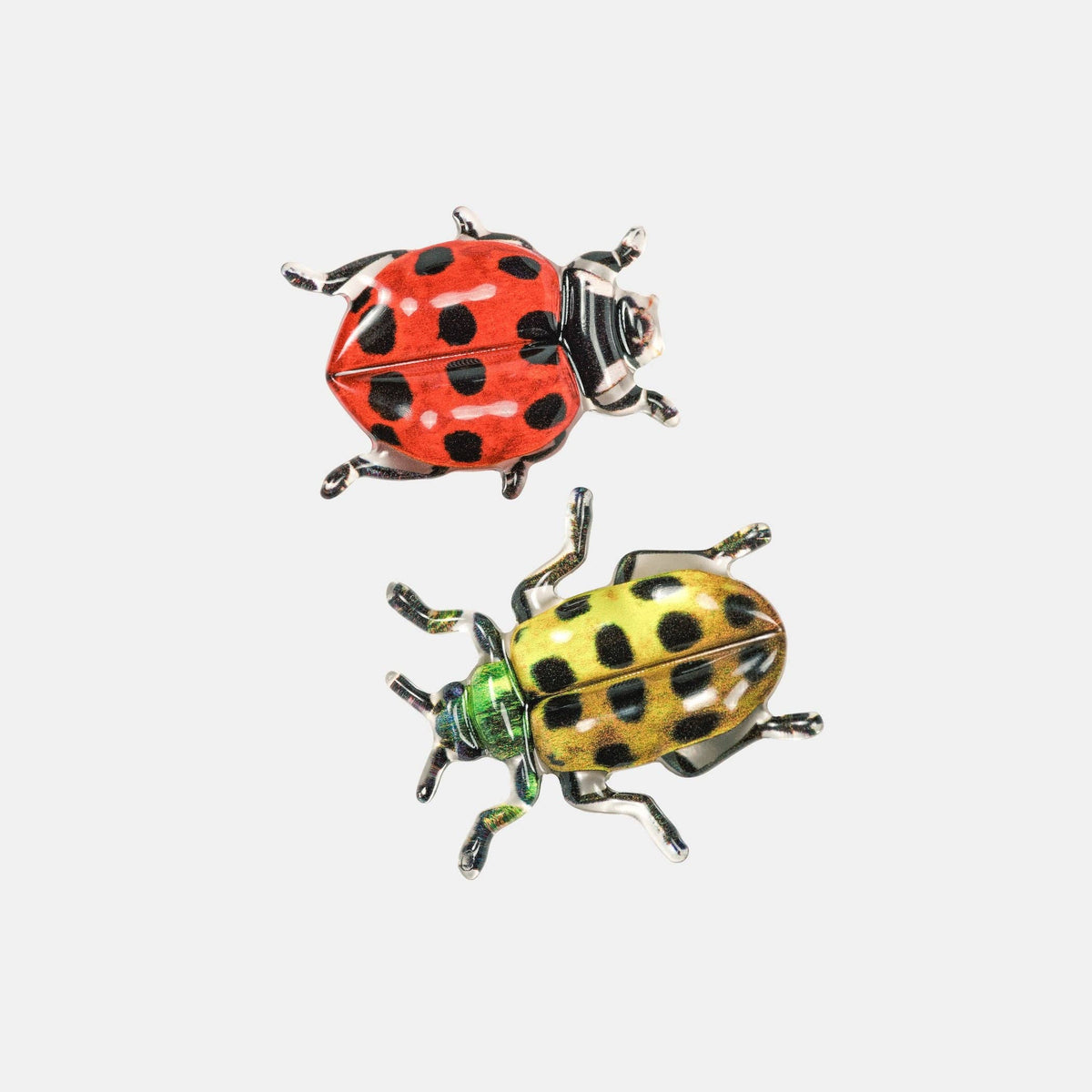 CHUNKS - Allie Clips - Spotted Crawlers
