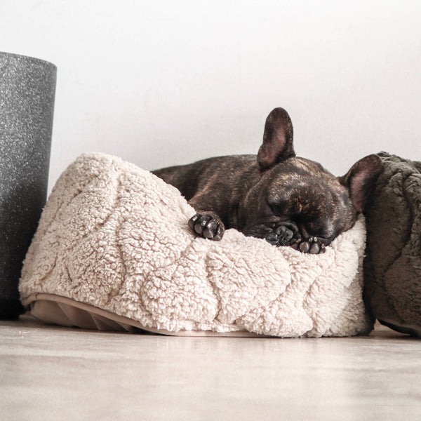 Lambwolf Collective - TAART Reversible Petite Pet Bed - Camel