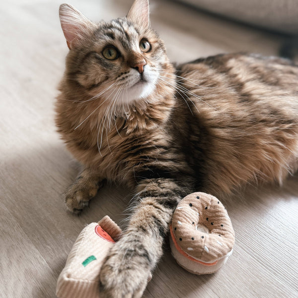 Lambwolf Collective - Cat Toy Set - Kitty Pizza & Bagel