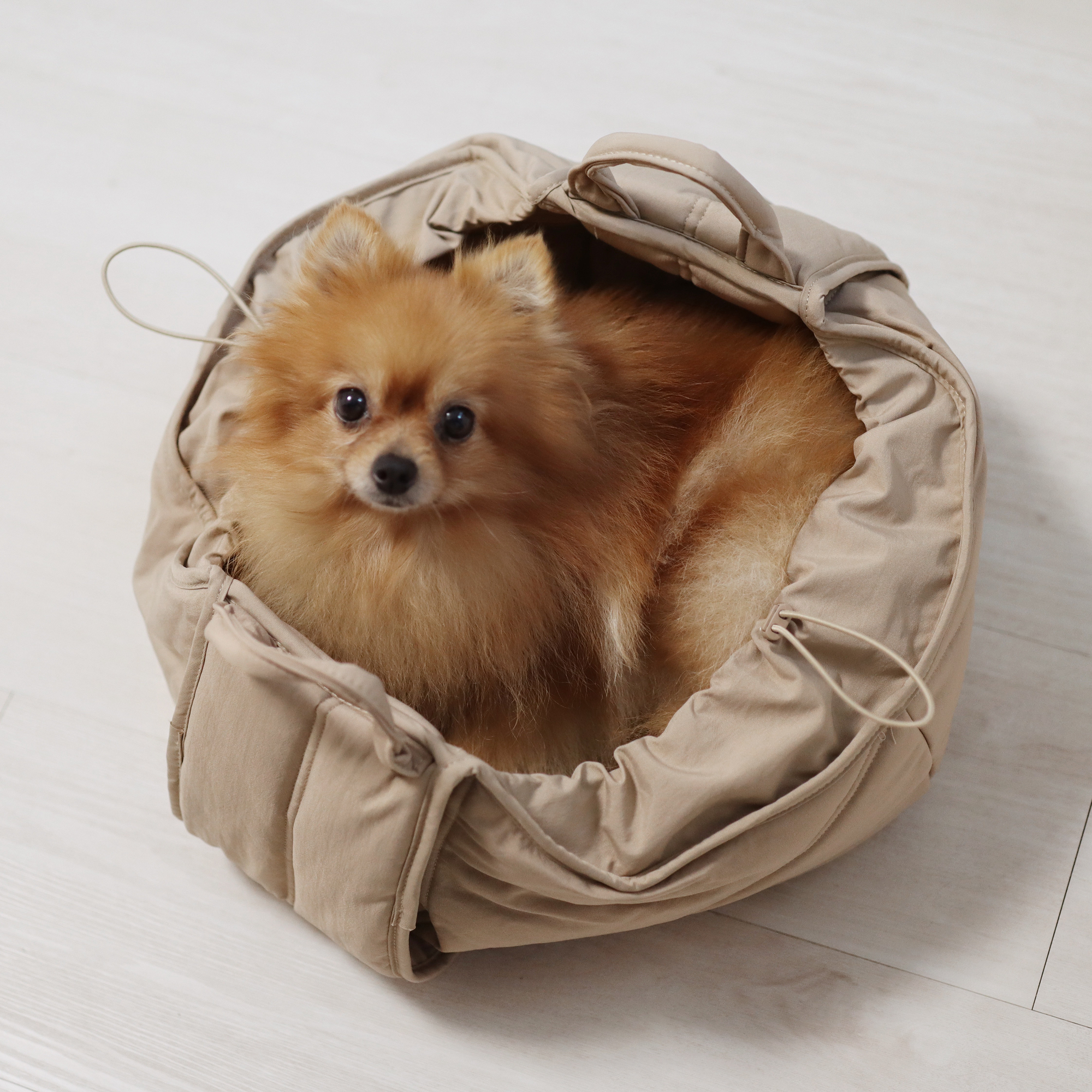 Lambwolf Collective - Olla Petite Pet  Carrier - Fern