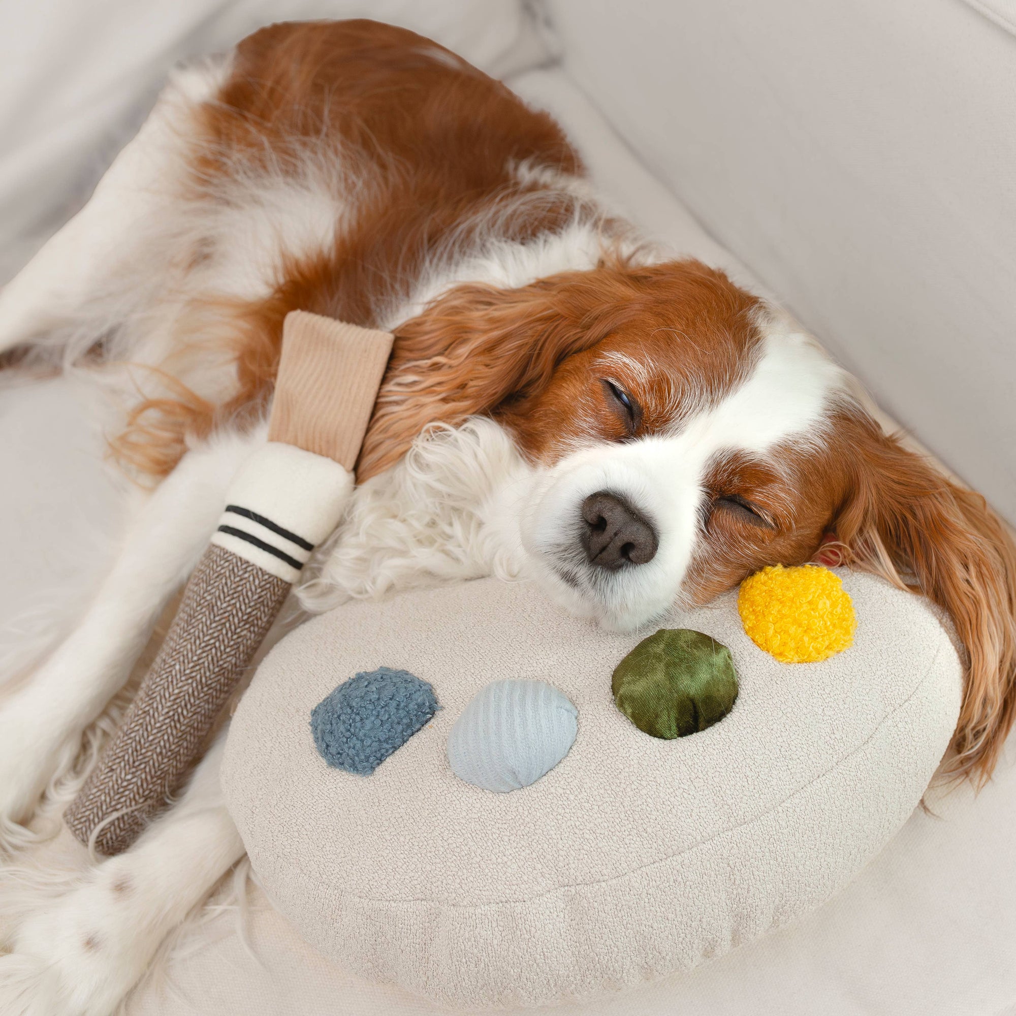 Lambwolf Collective - Color Palette Set - Enrichment Dog Toy - Cuddle + Squeaky