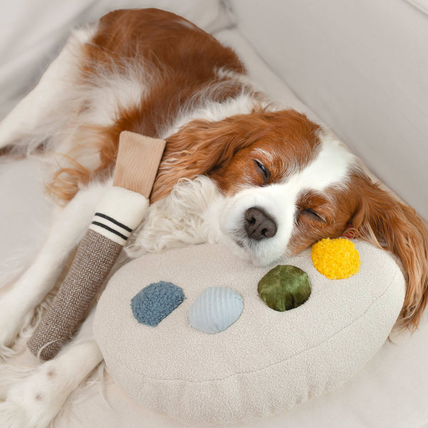 Lambwolf Collective- Cuddle + Squeaky Enrichment Dog Toy - Color Palette Set