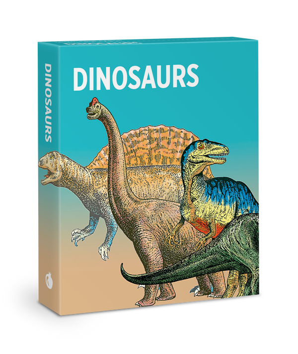 Dinosaurs Knowledge Cards