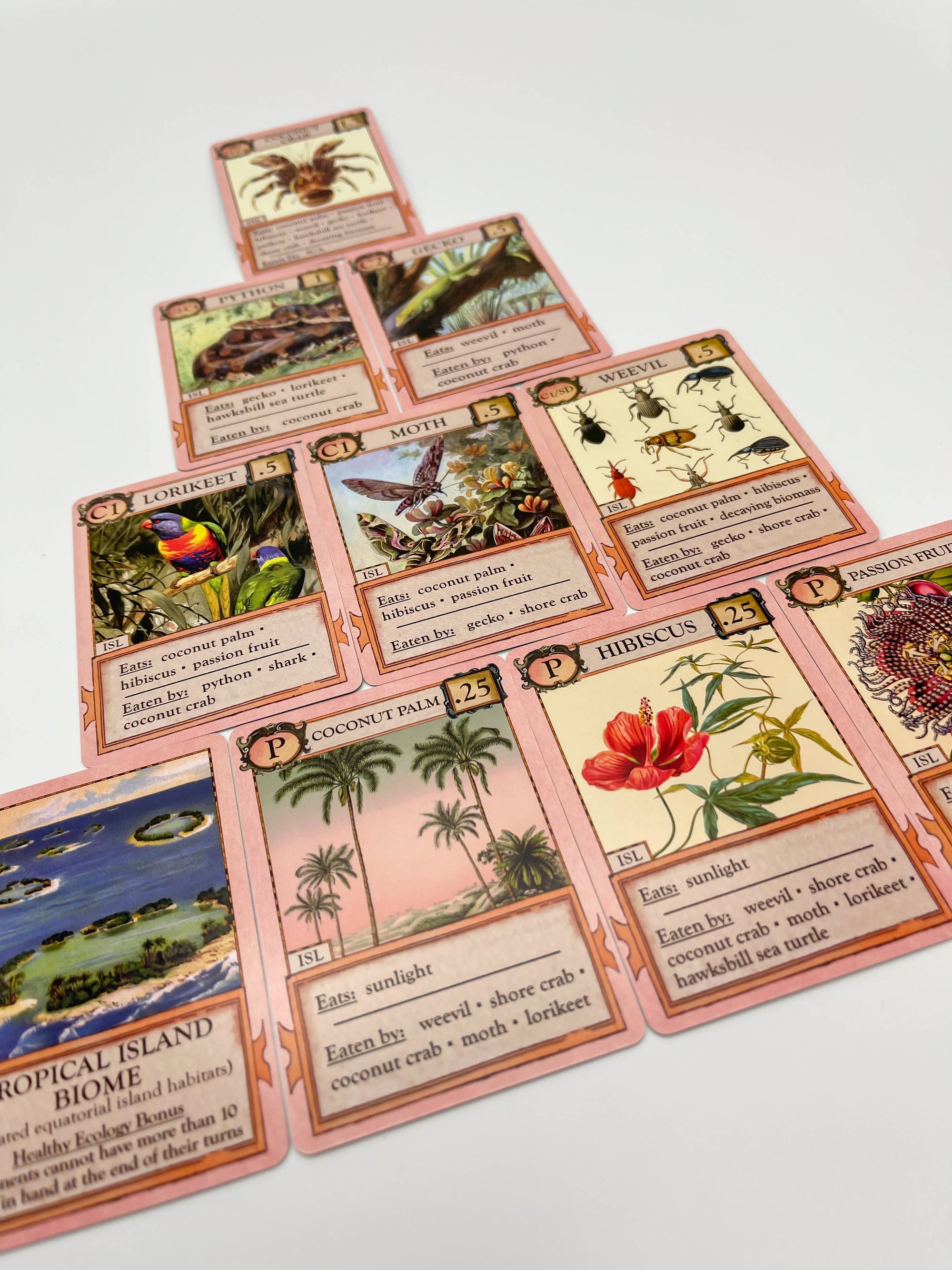 Ecologies: Hidden Habitats - Card Game