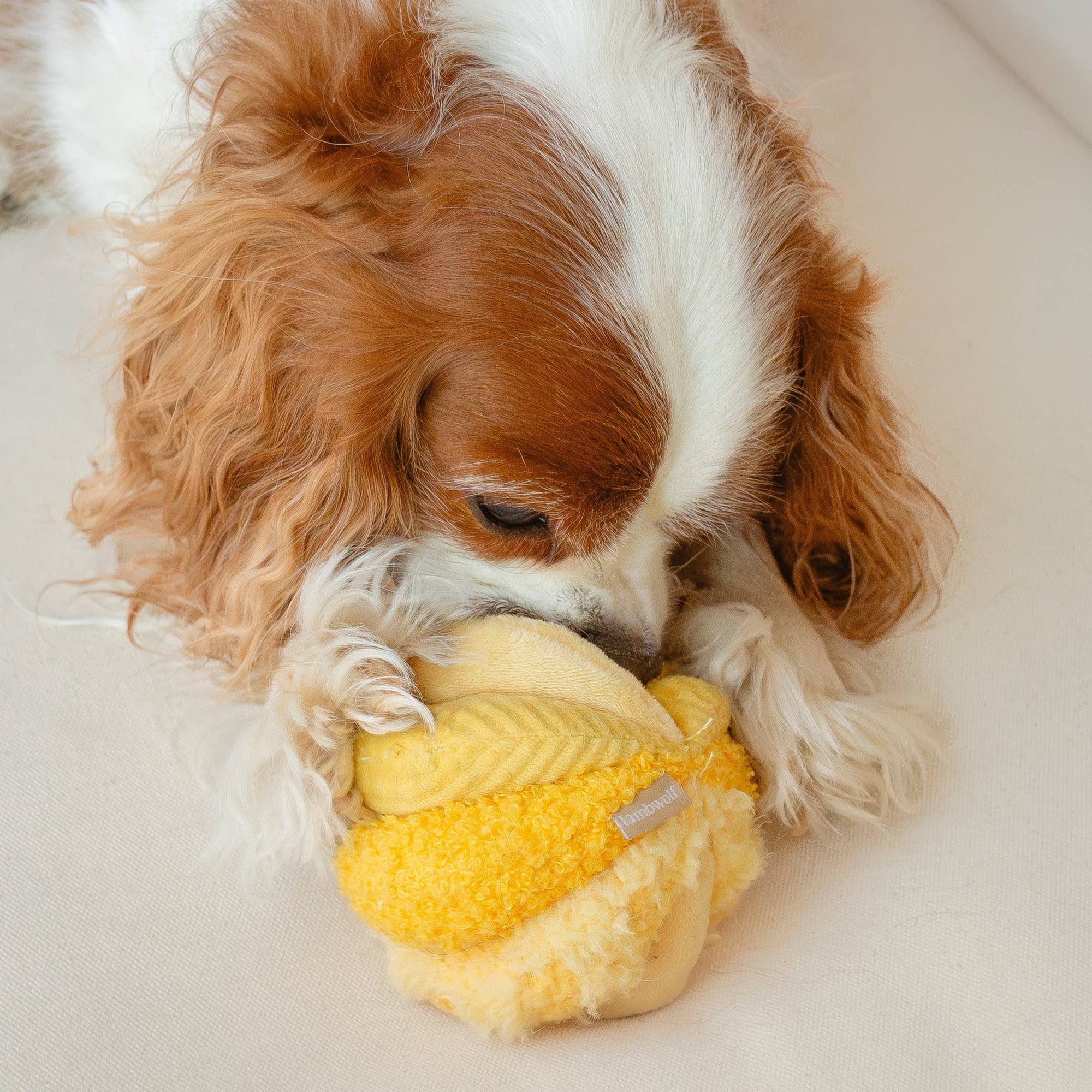 Lambwolf Collective - Toto - Silent Snuffle Dog Toy - Cornfield
