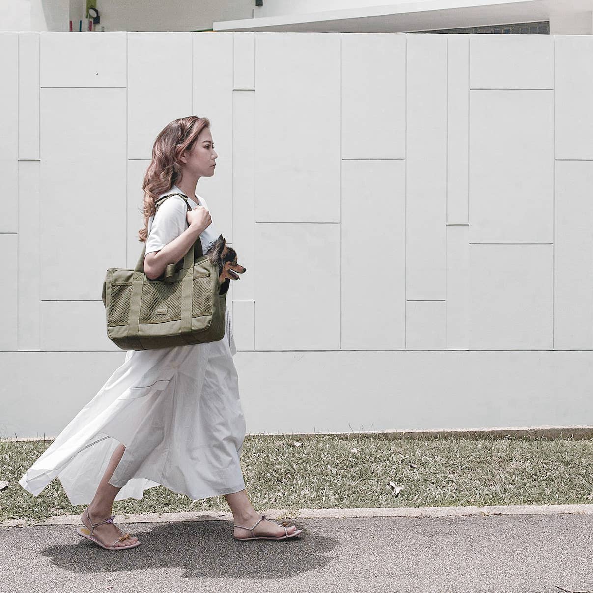 Lambwolf Collective - Subway Pet Carrier - Fern