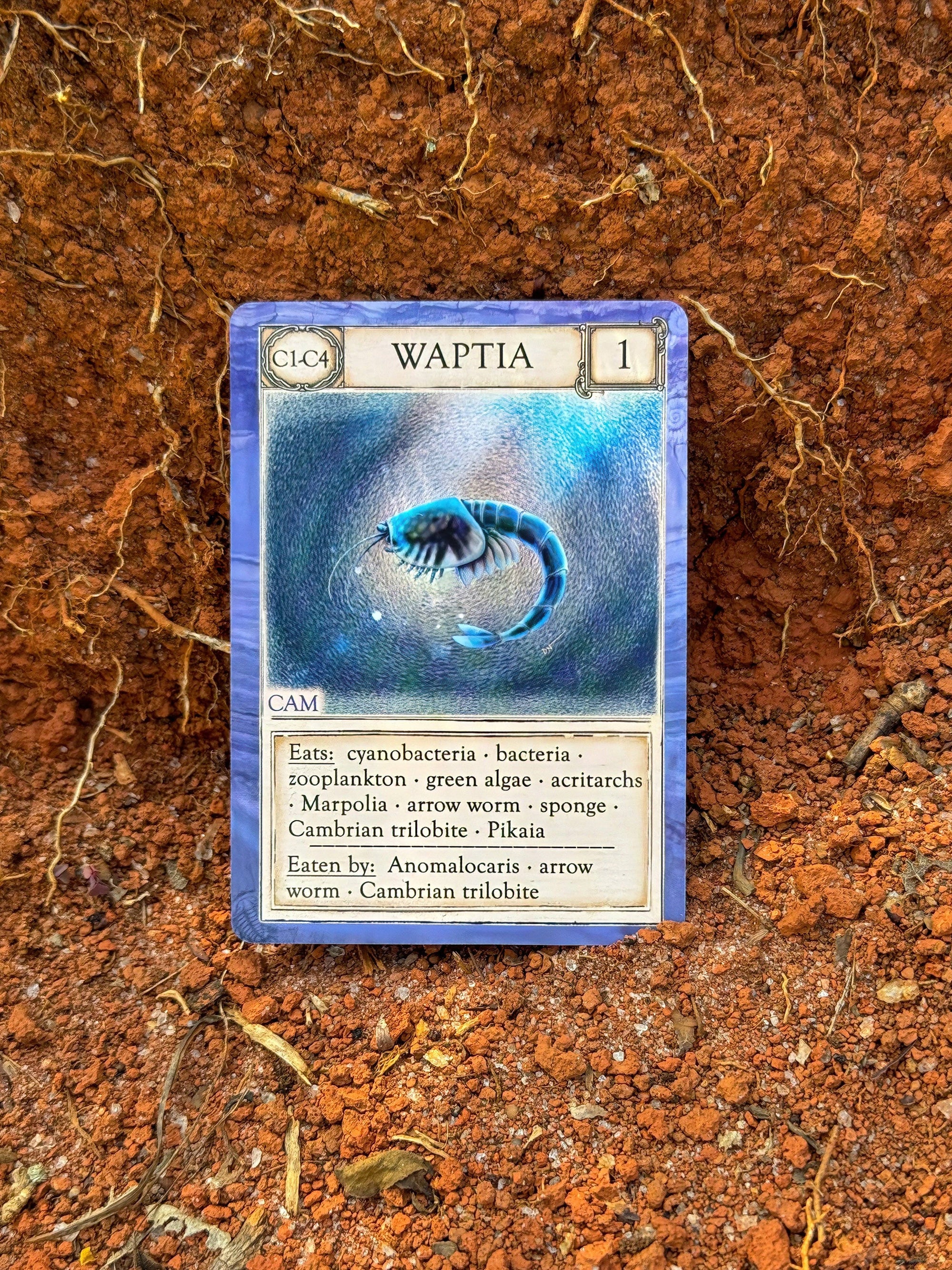 Ecologies: Ancient Areas - Card Game