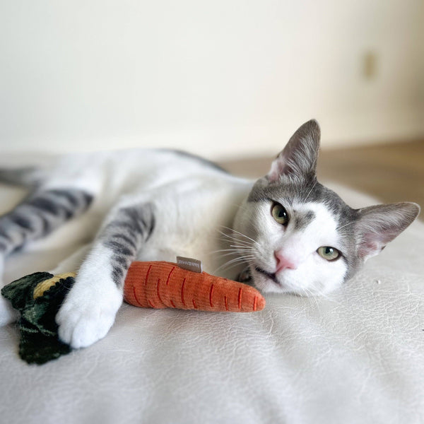 Lambwolf Collective - Catnip Cat Toy - Kitty Baby Carrots