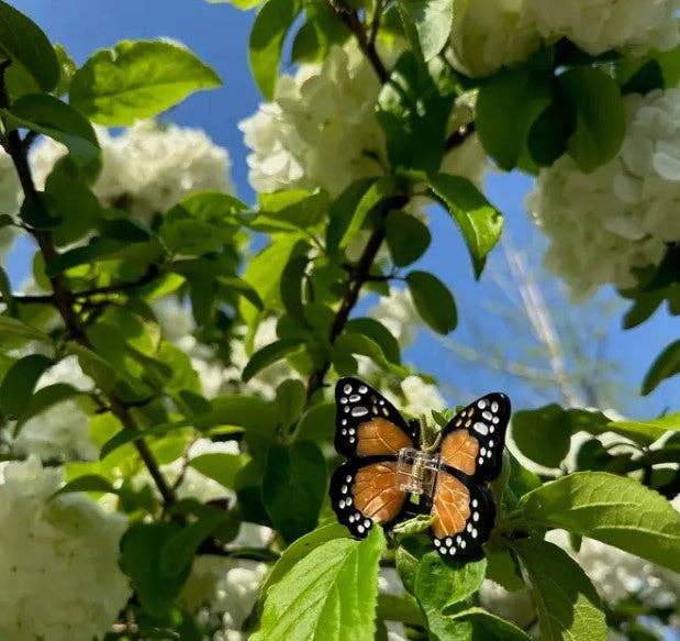 Solar Eclipse - Mini Monarch Butterfly Claw Hair Clip: Baby Blue - Limited Edition