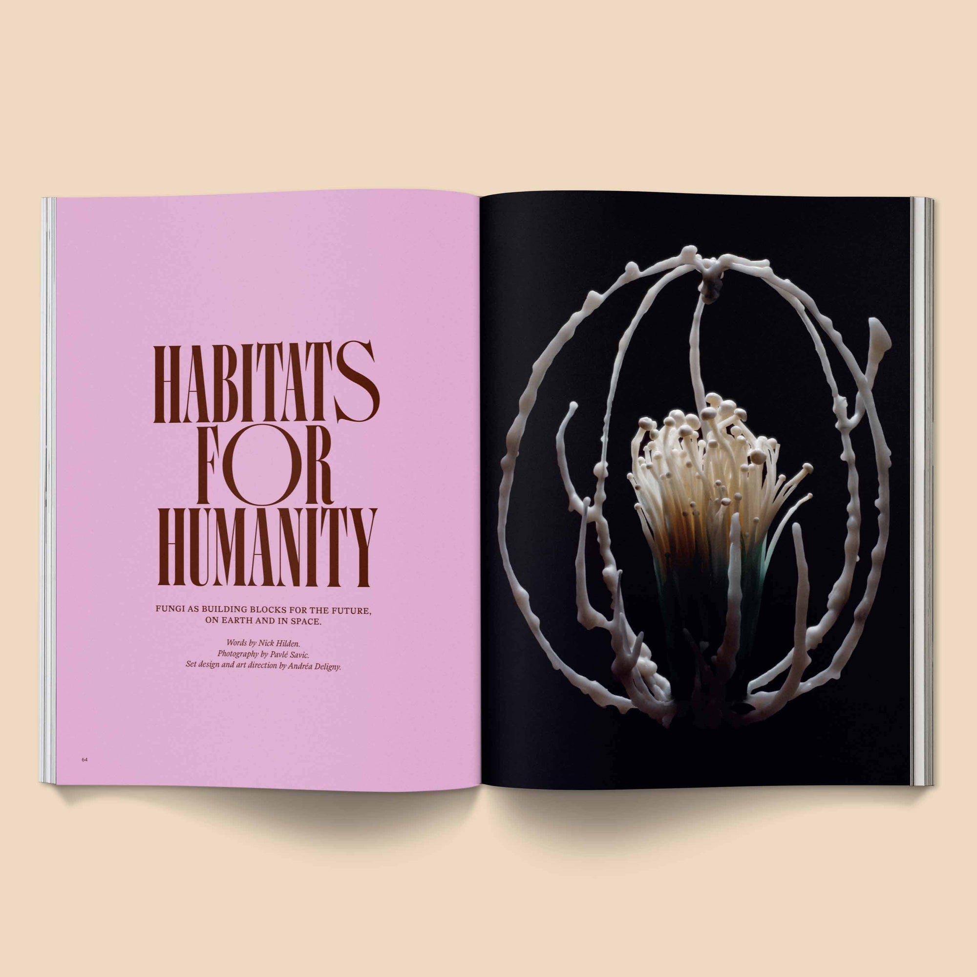 Mushroom People Magazine - Volume 2