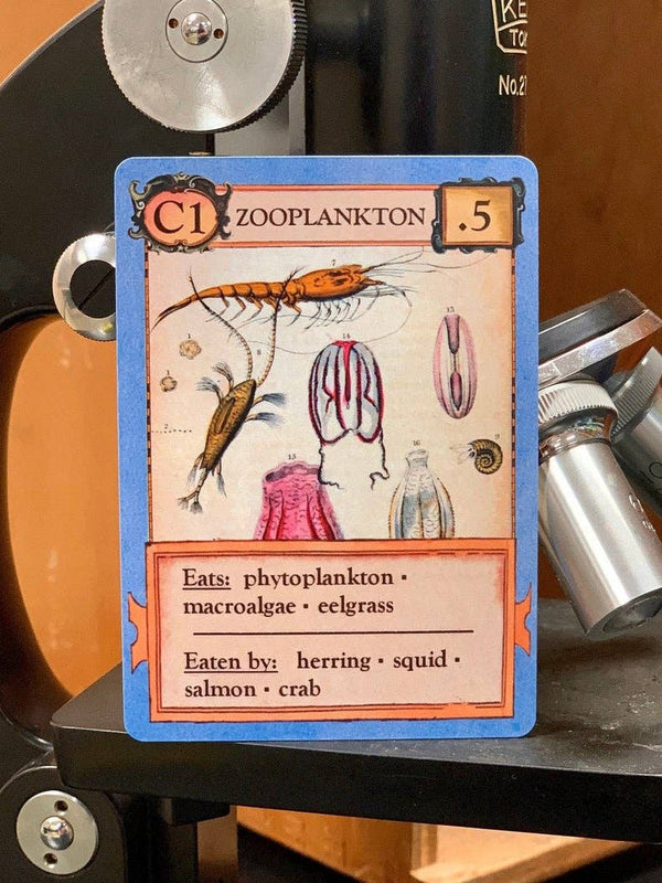 Ecologies Card Game
