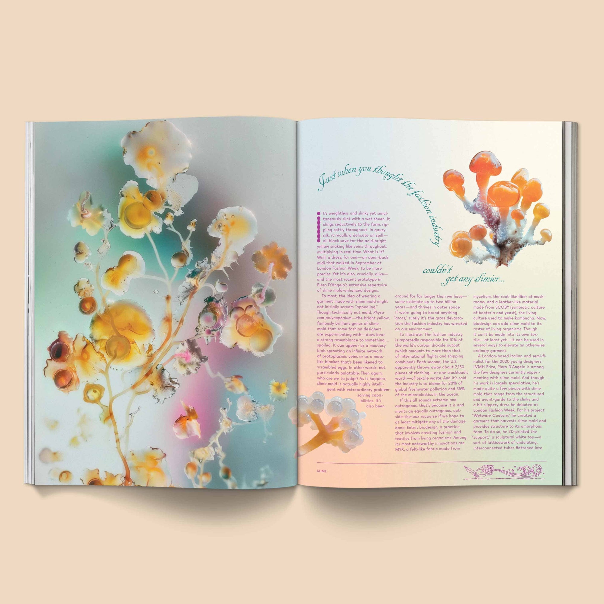 Mushroom People Magazine - Volume 2