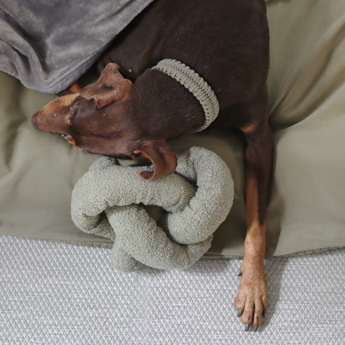 Lambwolf Collective - O Nou Enrichment Toy - Oversized Oat
