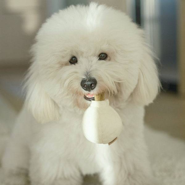 Lambwolf Collective - Enrichment Dog Toy - Garlic Pop