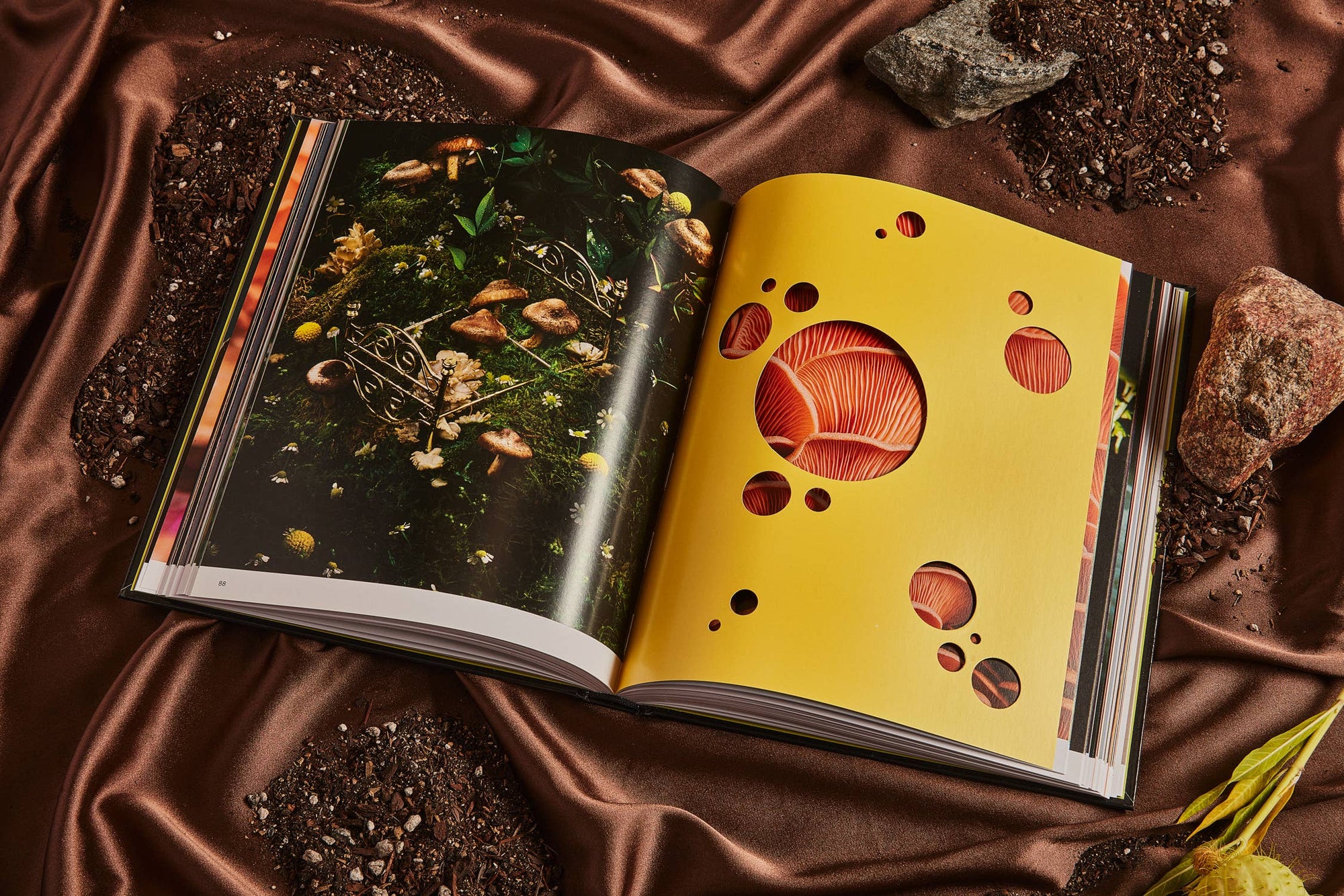 Spores: Magical Mushroom Photography Book - Space Camp