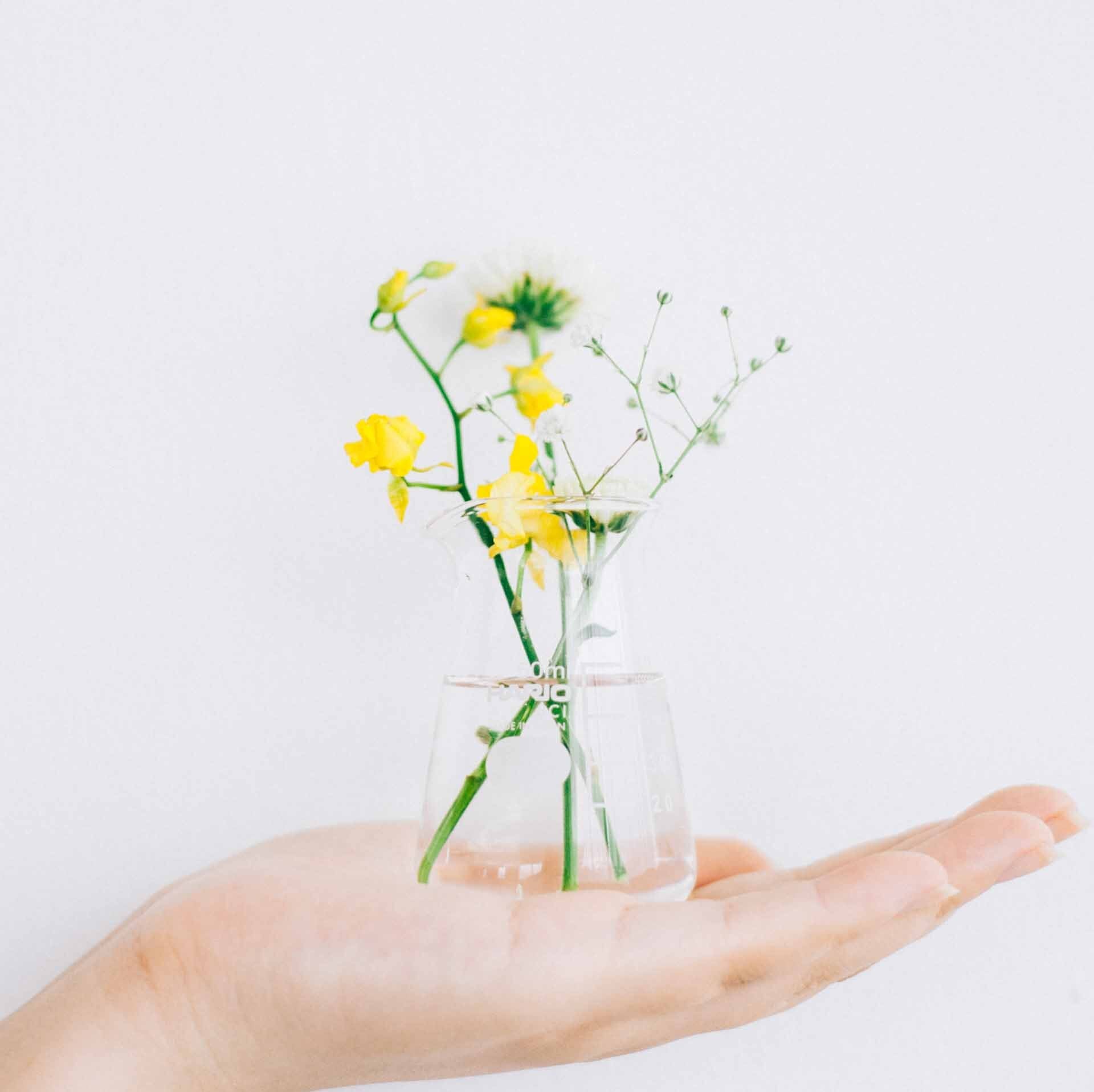 Hario - Conical Beaker Vase