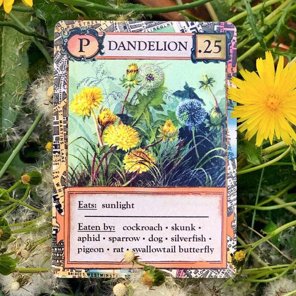 Ecologies: Bizarre Biomes - Card Game