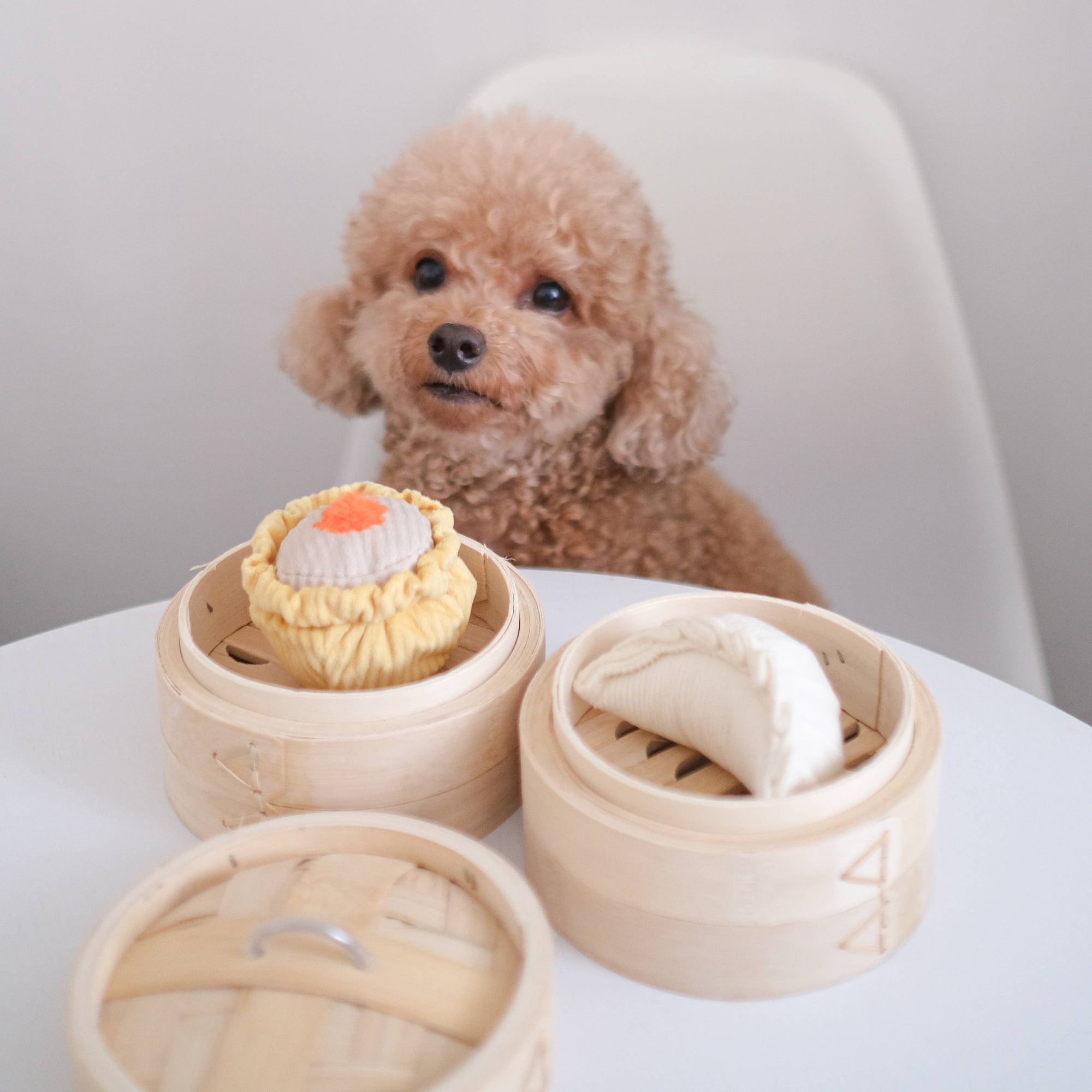 Lambwolf Collective - Dim Sum Pop // Enrichment dog toy