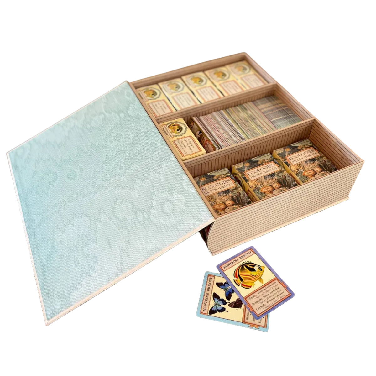 Ecologies Faux Book Box Container and Organizer