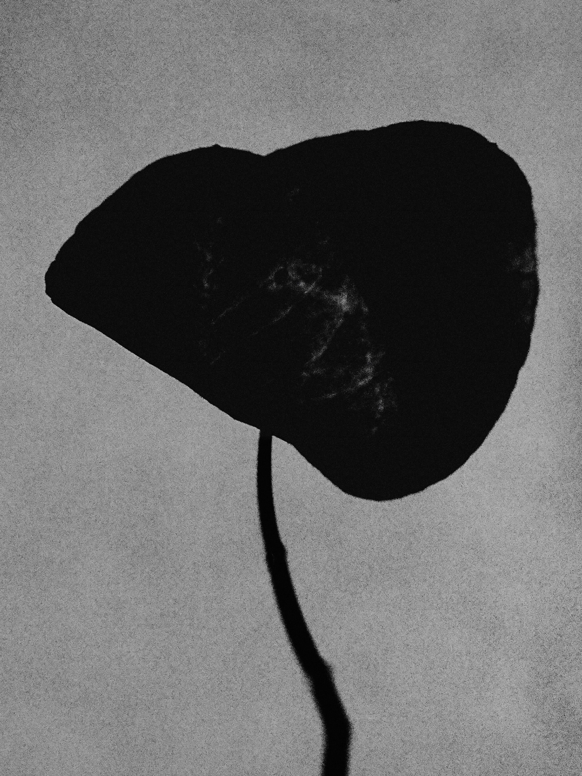 Mihan Aromatics - Guilty Story Parfum