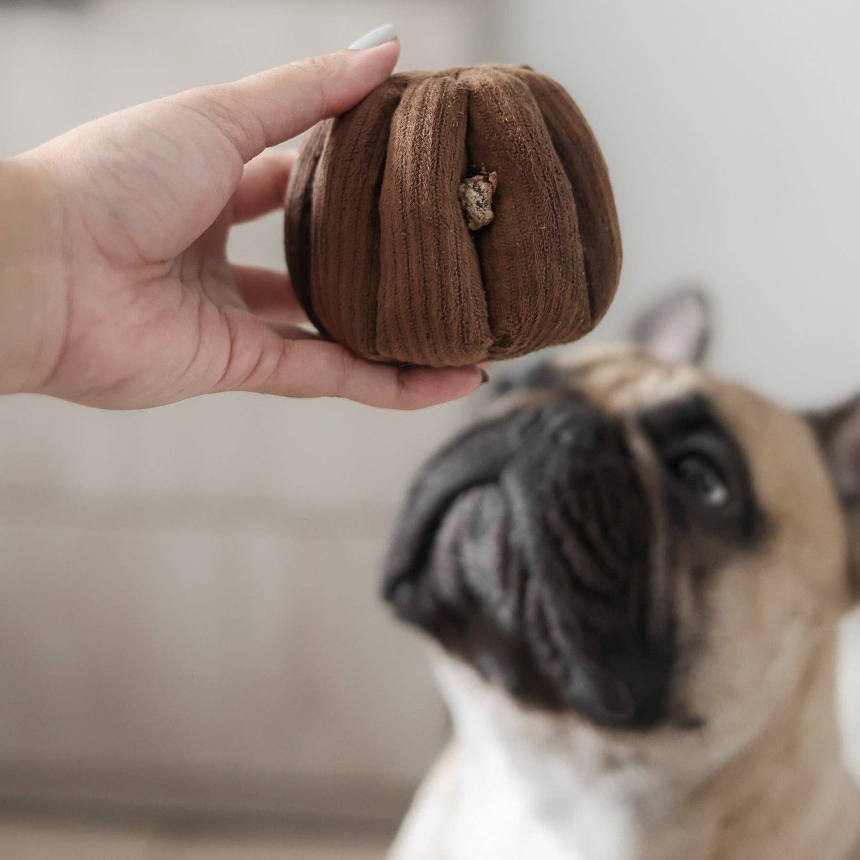 Lambwolf Collective - Enrichment Snuffle + Squeaky Dog Toy - Canele