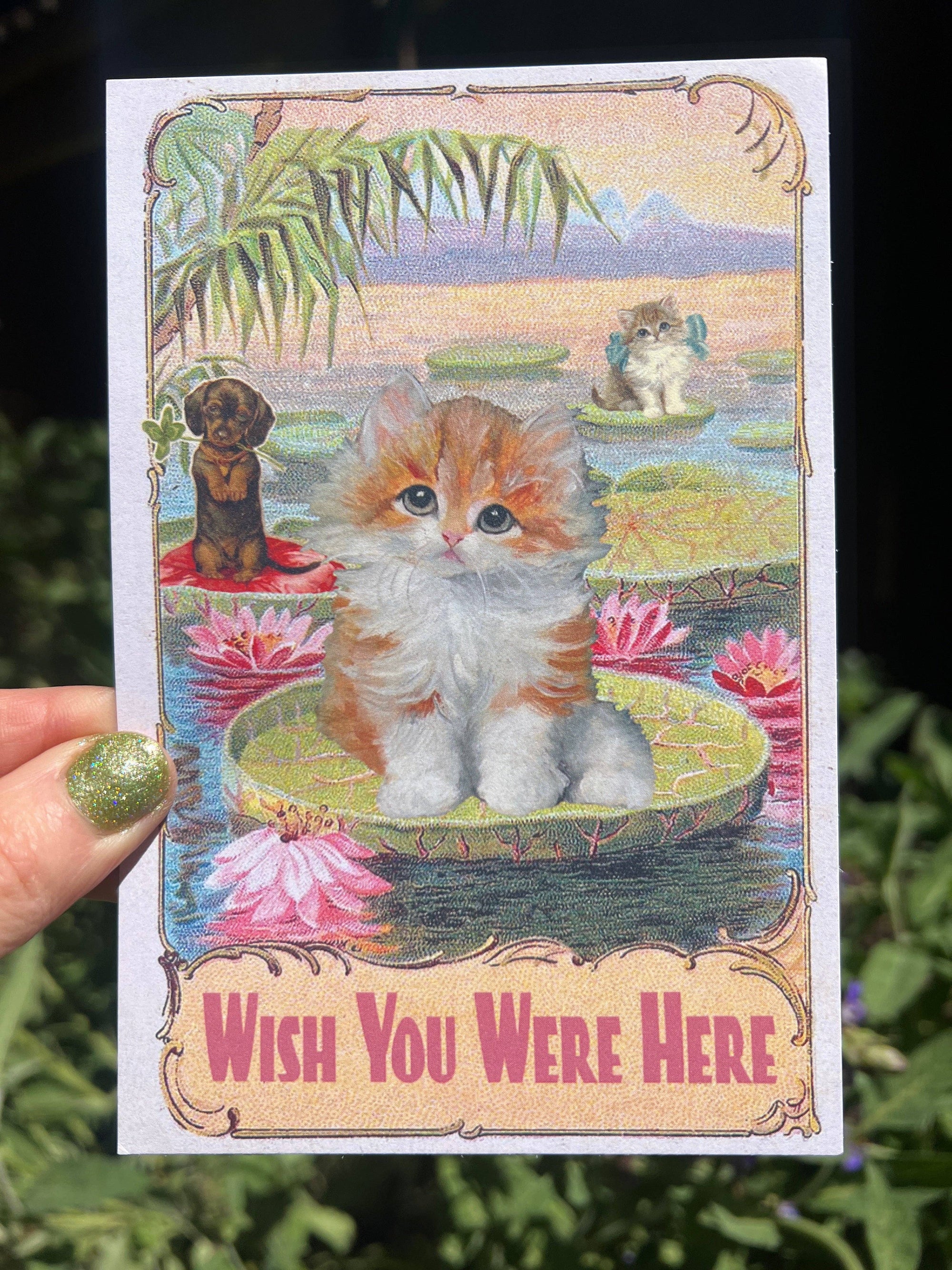 Wish You Were Here - Kittens On Lotus Pond Postcard