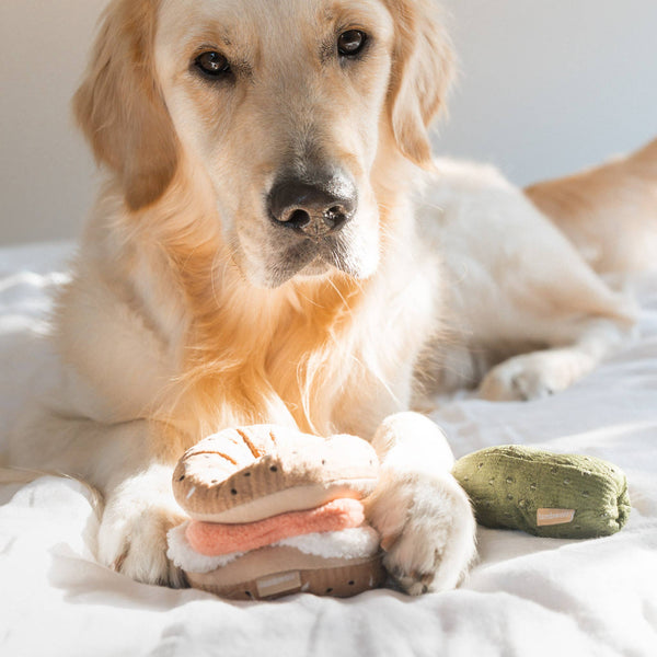 Lambwolf Collective - Enrichment Dog Toy - Bagel + Pickle