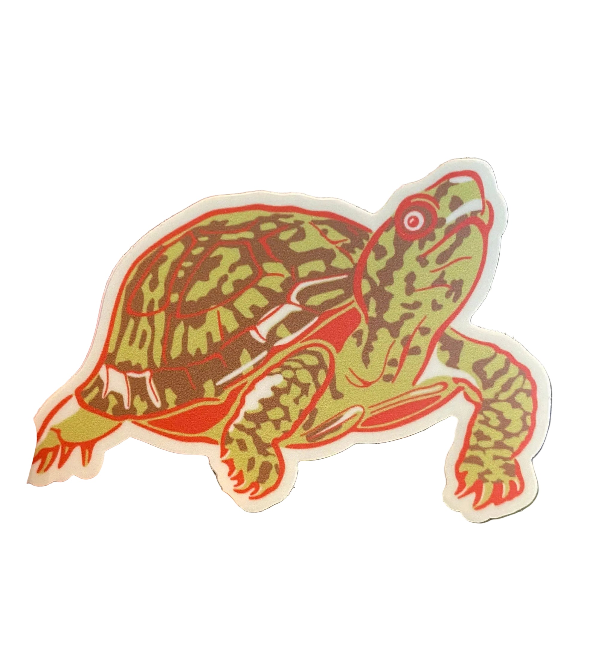 Long Lost Studio - Turtle Sticker