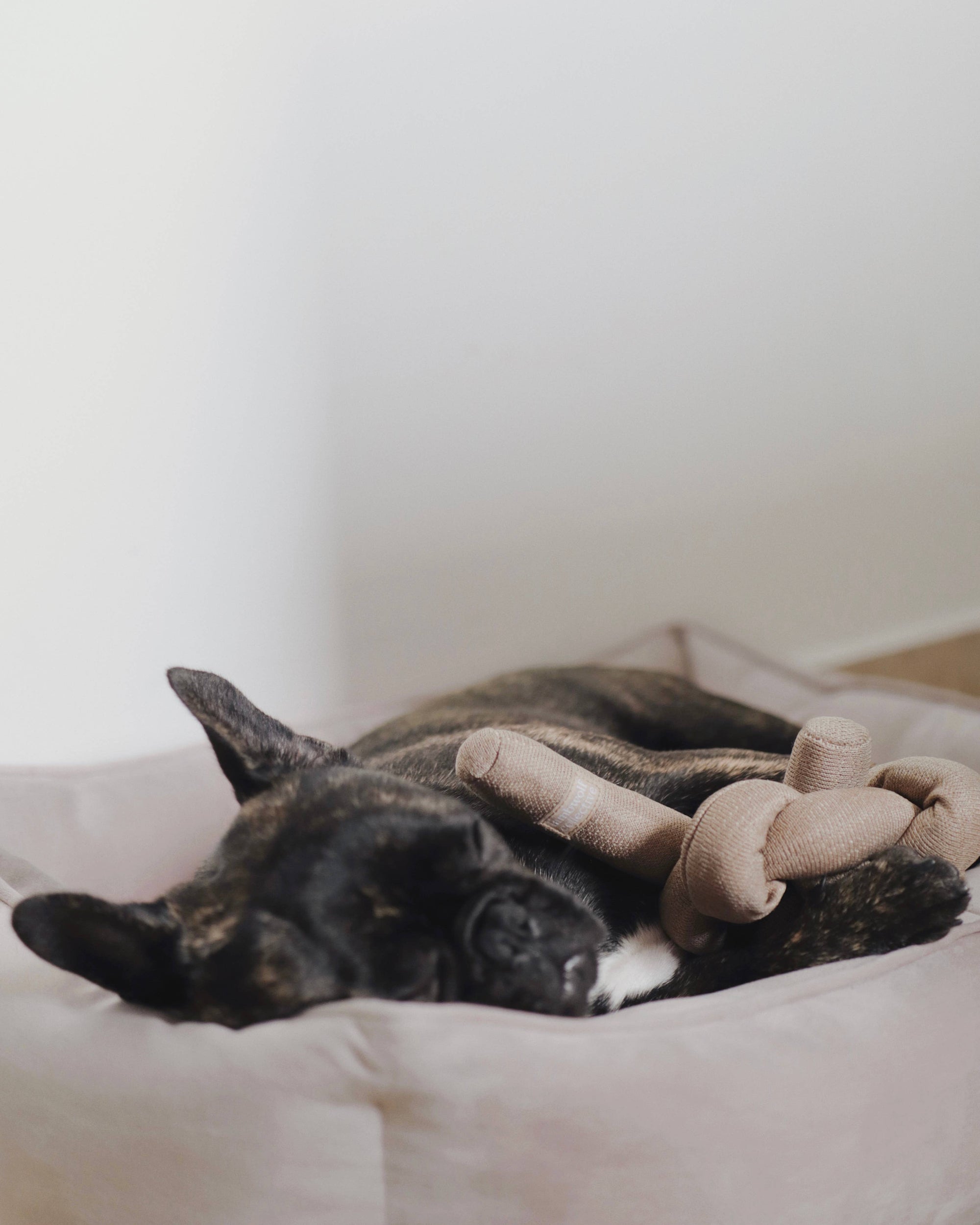 Lambwolf Collective - NOU // TAN // ENRICHMENT DOG TOY