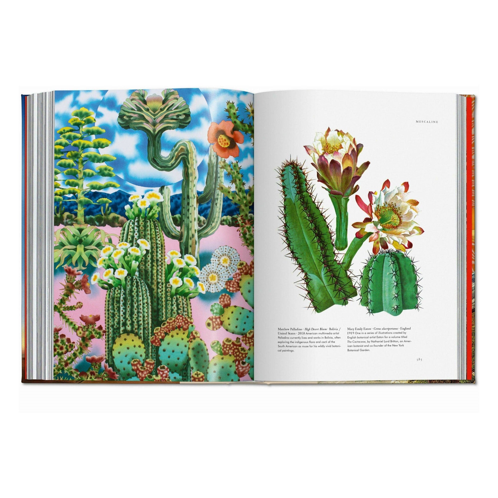 The Library of Esoterica - Plant Magick  (English)