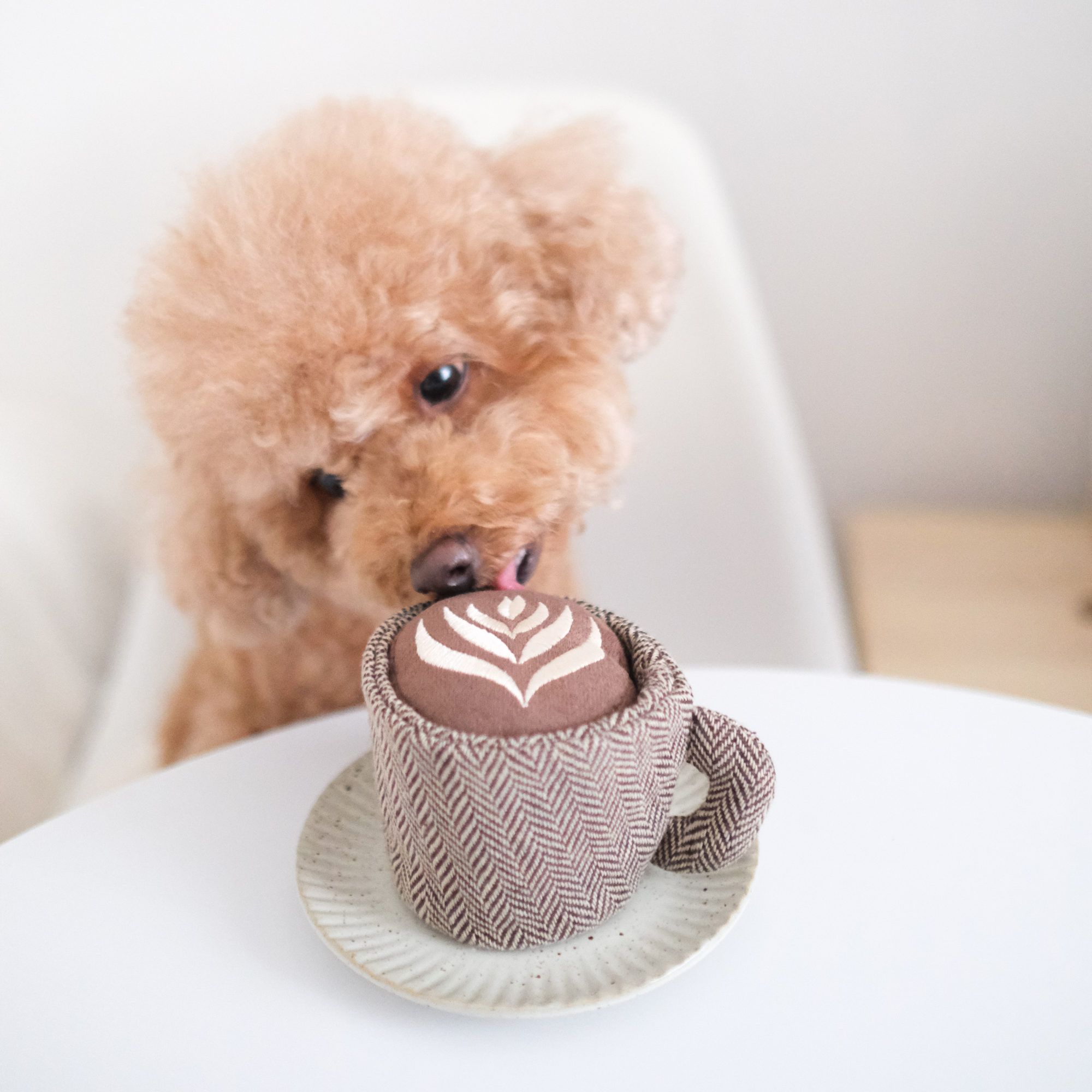 Lambwolf Collective - Latte Pop - Enrichment Dog Toy - Squeaky Ball