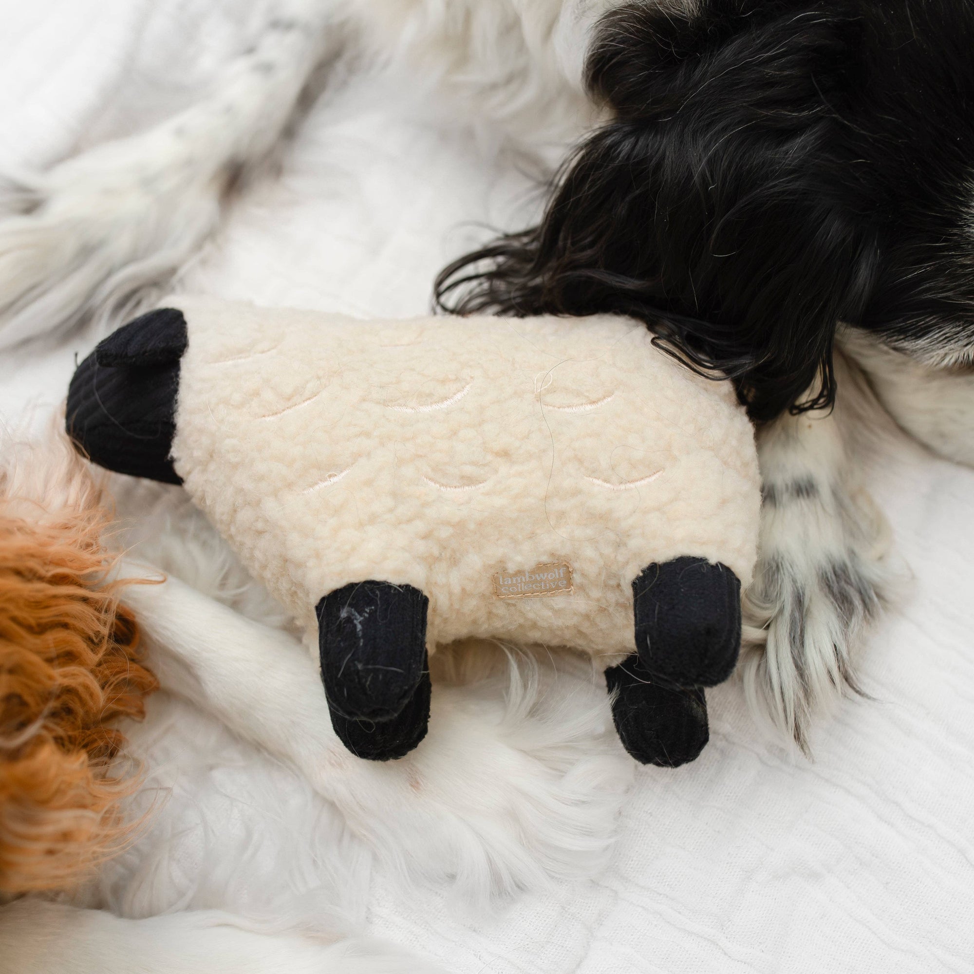 Lambwolf Collective - Squeaker + Cuddle Toy - Dolly the Lamb