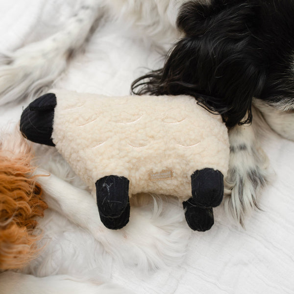 Lambwolf Collective - Squeaker + Cuddle Dog Toy - Dolly the Lamb
