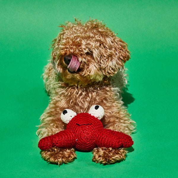 Ware of the Dog - Hand Crochet Cotton Dog Toy - Crab