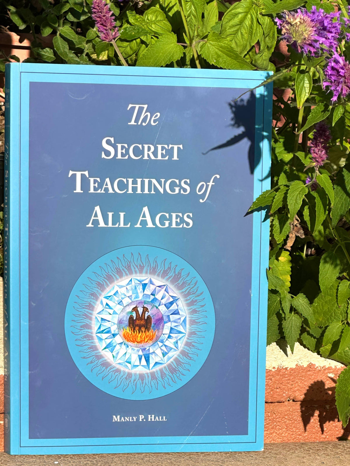 The Secret Teachings of All Ages (Paperback)