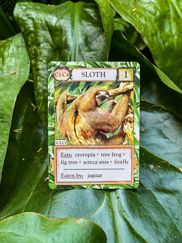 Ecologies: Hidden Habitats - Card Game