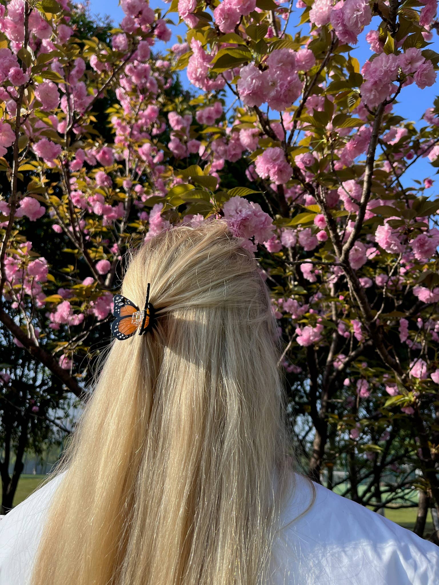 Solar Eclipse - Hand-painted Mini Monarch Claw Hair Clip - Pink